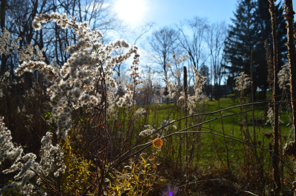 Keep the earth below my&nbsp;feet.