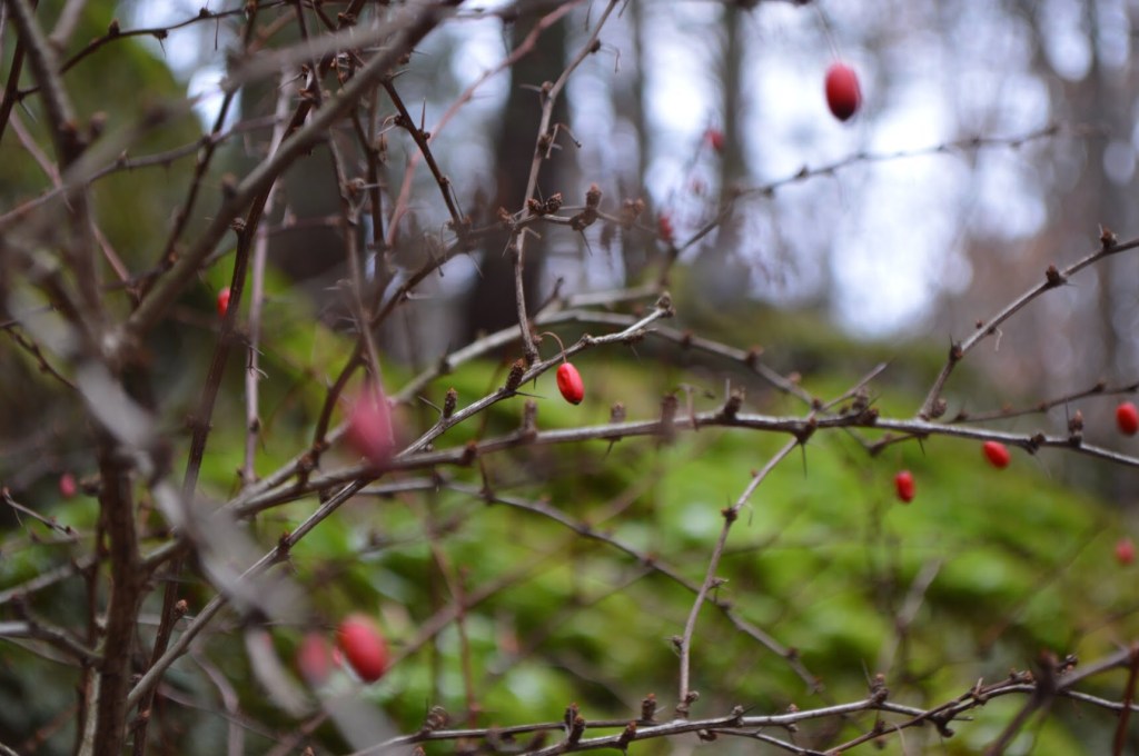 New days, parking lots, &&nbsp;crackers.