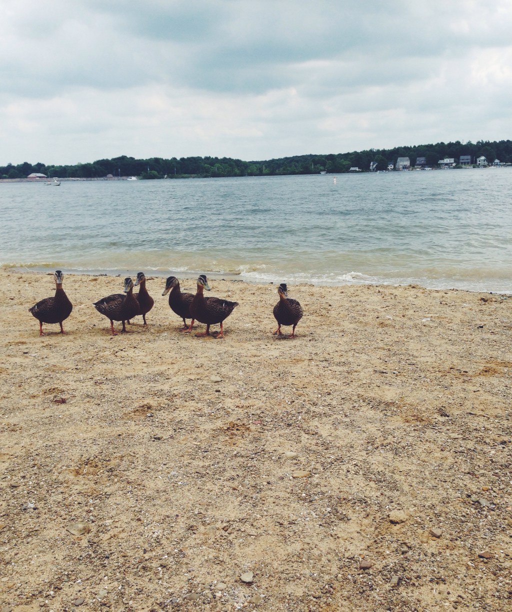 Things to bring you&nbsp;down.