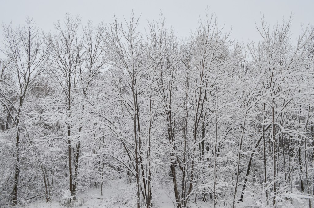 Cheers to a year & trying harder & doing&nbsp;better.