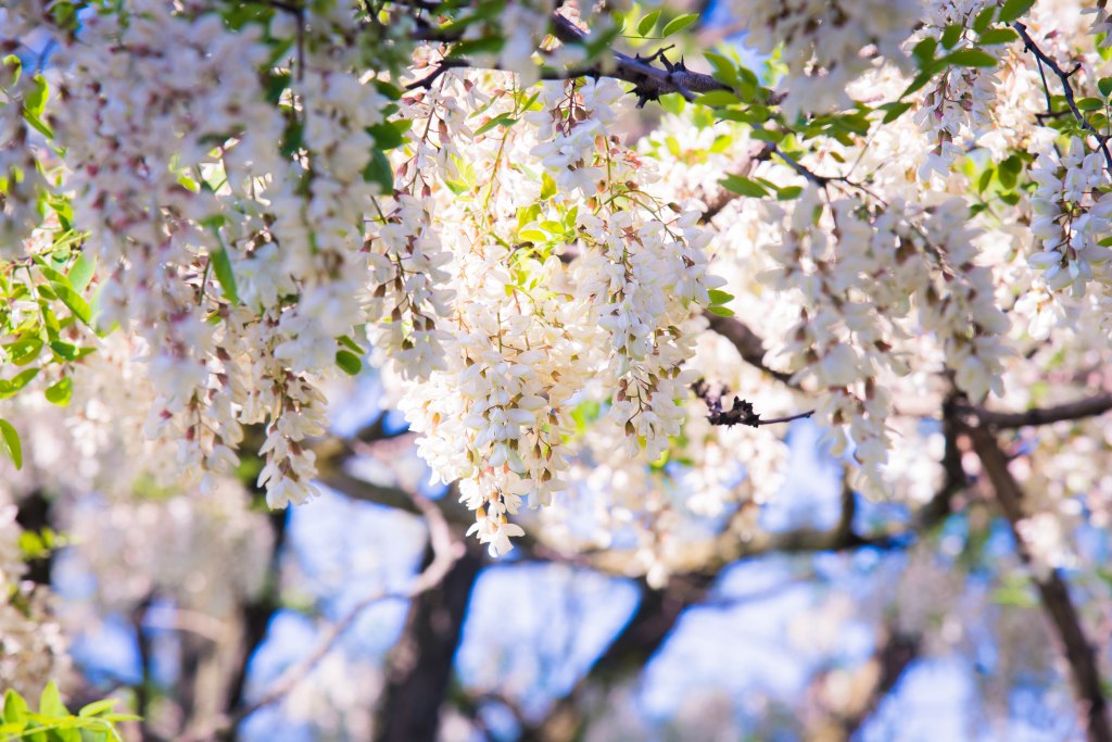 How to Master Motherhood & be a Good&nbsp;Christian