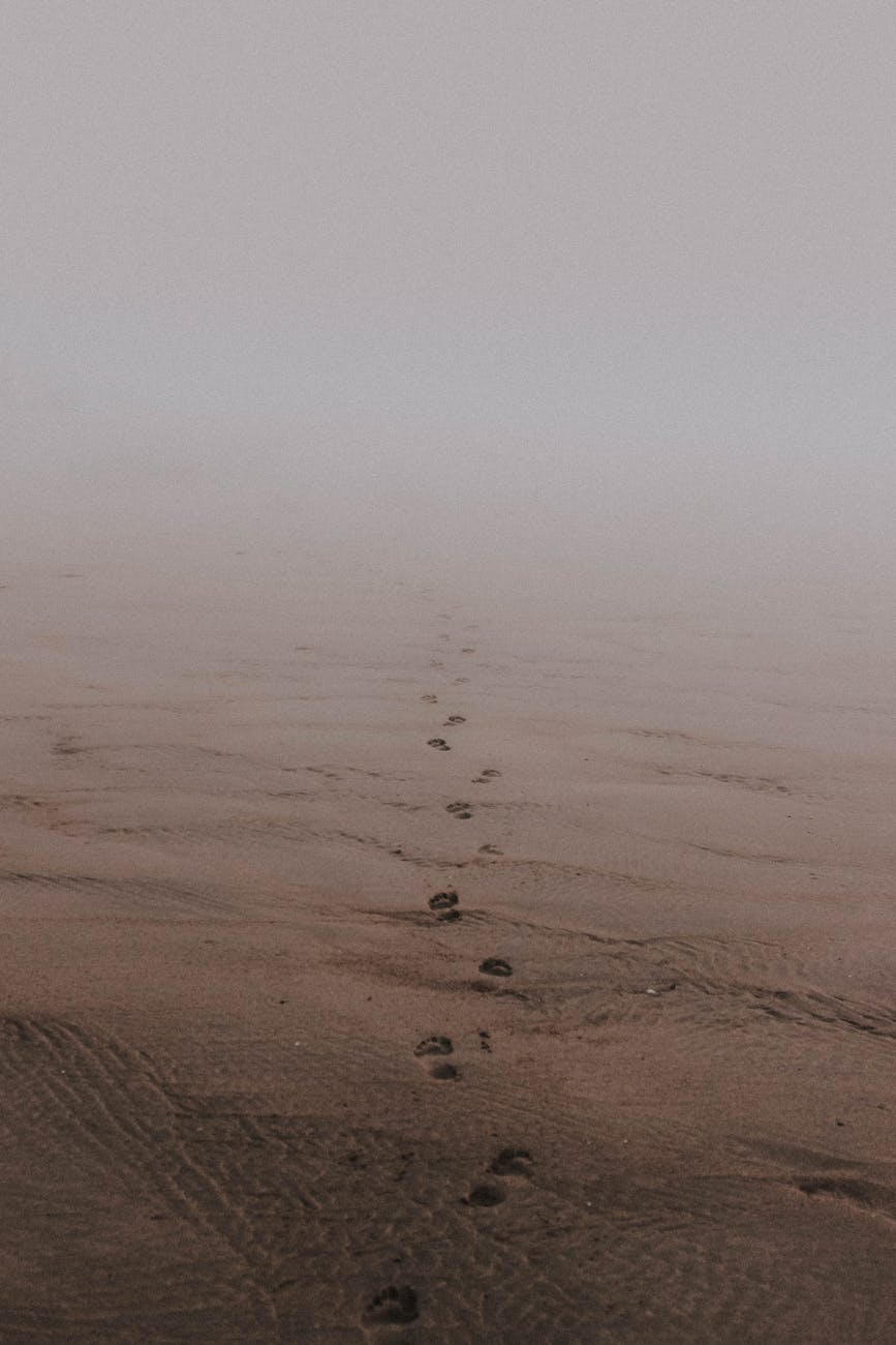 Busy minds, restful hearts.