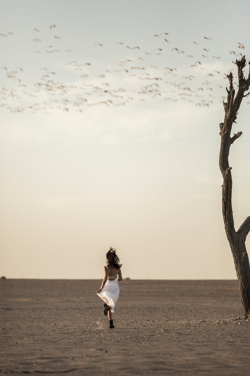 at the foot of the broom bush / even if it’s&nbsp;crawling